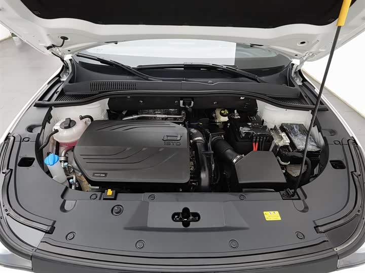 Bestune T90 2025 2025款 龙耀版 1.5T 欢享型