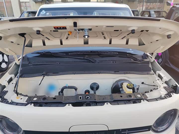 Geely Galaxy Panda Mini 2025 2025款 熊猫mini 210km 元气熊