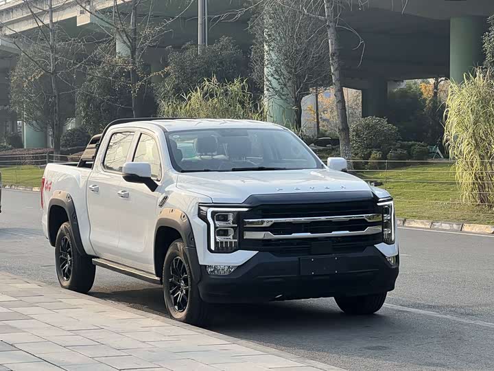 Foton Mars 7 2024 2024款 火星7 2.0T柴油自动四驱标轴乐享型