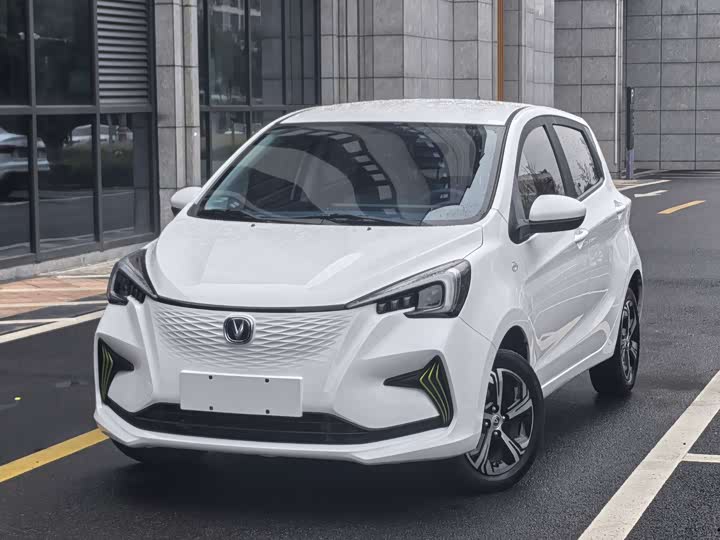 Changan BenBen E-Star 2022 2022款 清心版 多彩款 磷酸铁锂