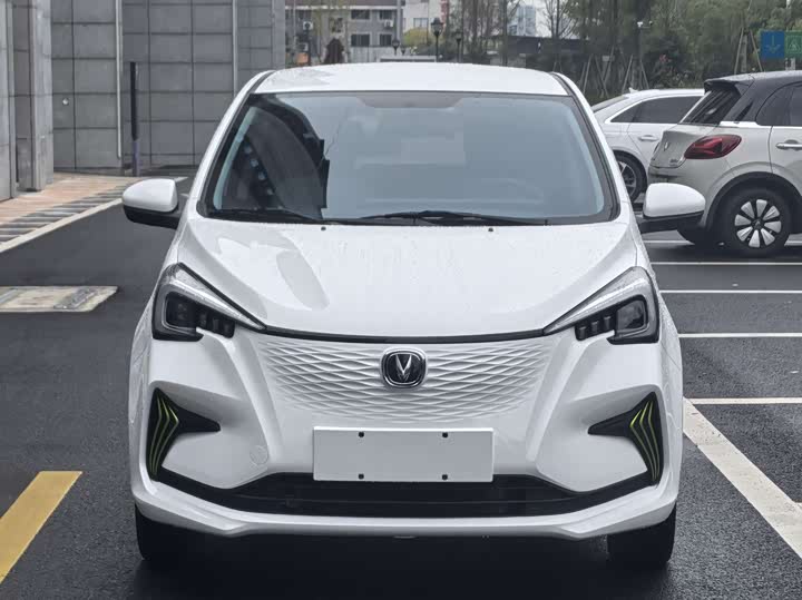 Changan BenBen E-Star 2022 2022款 清心版 多彩款 磷酸铁锂