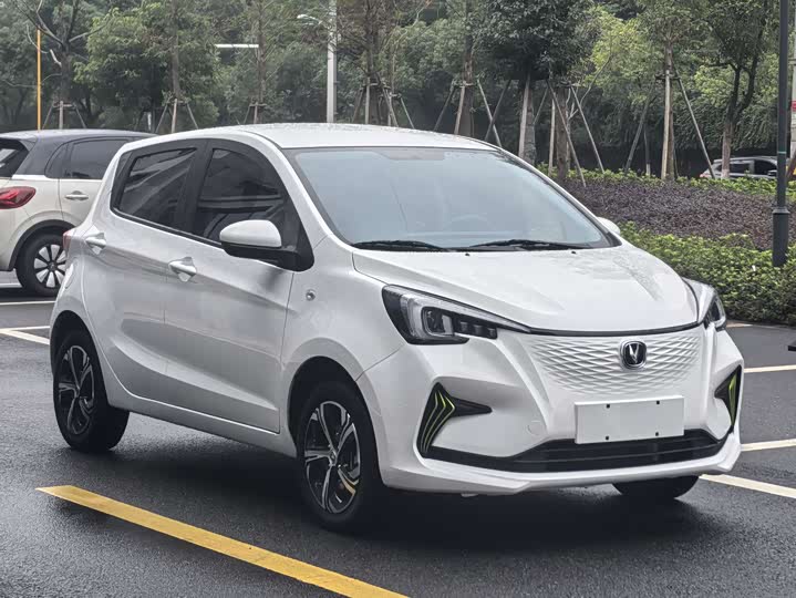 Changan BenBen E-Star 2022 2022款 清心版 多彩款 磷酸铁锂