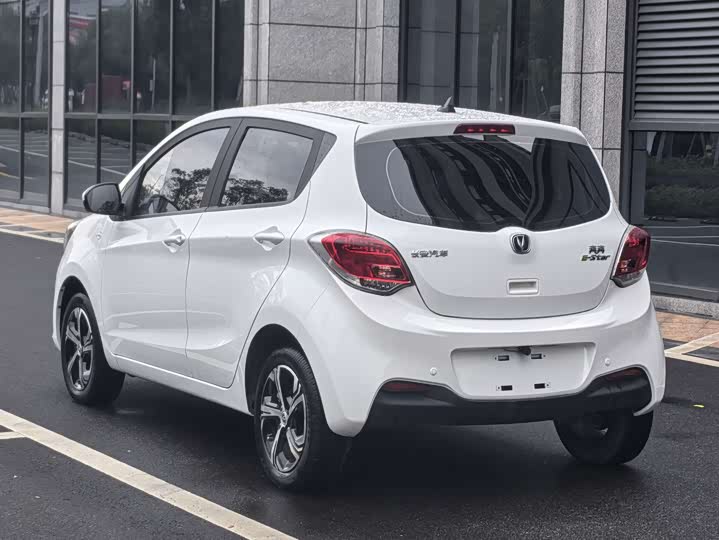 Changan BenBen E-Star 2022 2022款 清心版 多彩款 磷酸铁锂