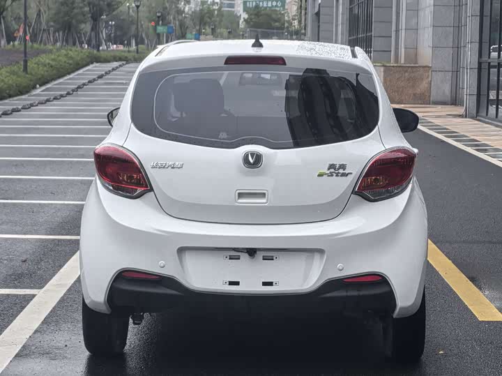 Changan BenBen E-Star 2022 2022款 清心版 多彩款 磷酸铁锂