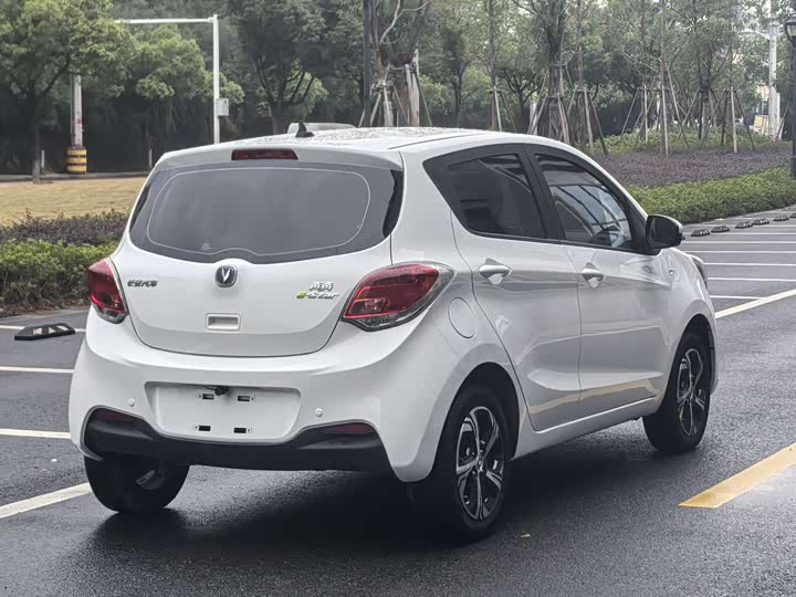 Changan BenBen E-Star 2022 2022款 清心版 多彩款 磷酸铁锂