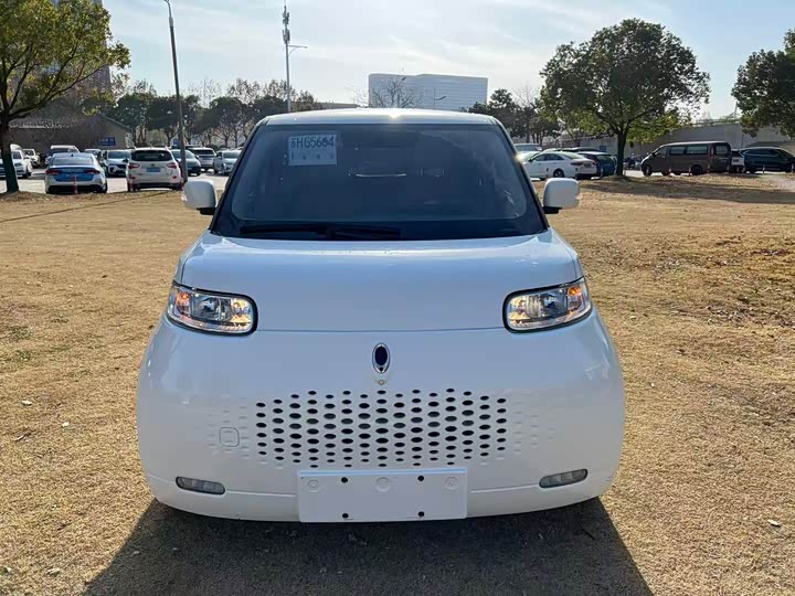 Ora White Cat 2020 2020款 360km 豪华型