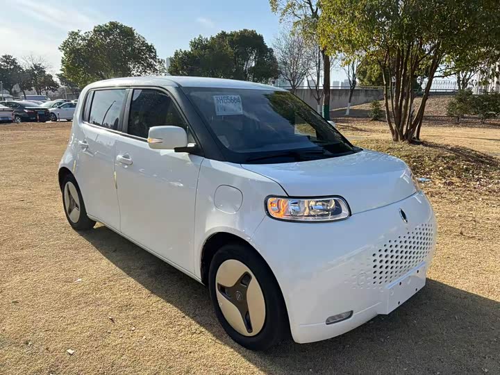 Ora White Cat 2020 2020款 360km 豪华型