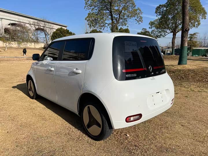 Ora White Cat 2020 2020款 360km 豪华型