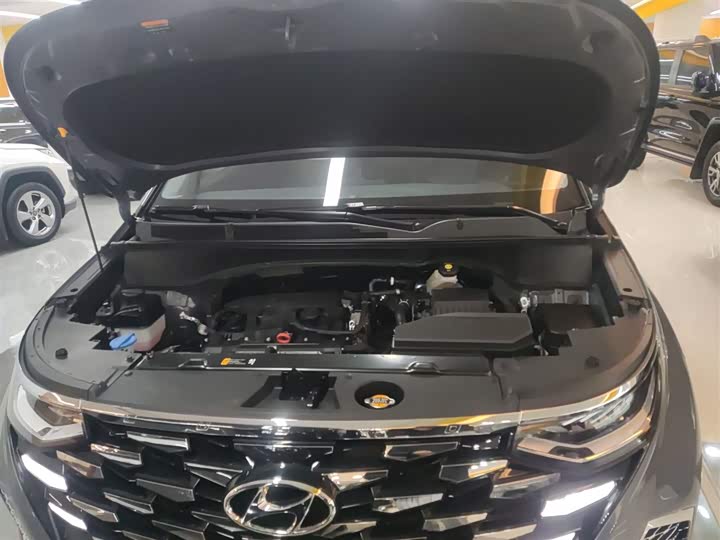 Hyundai Custo 2024 2024款 270TGDi LUX 尊贵版