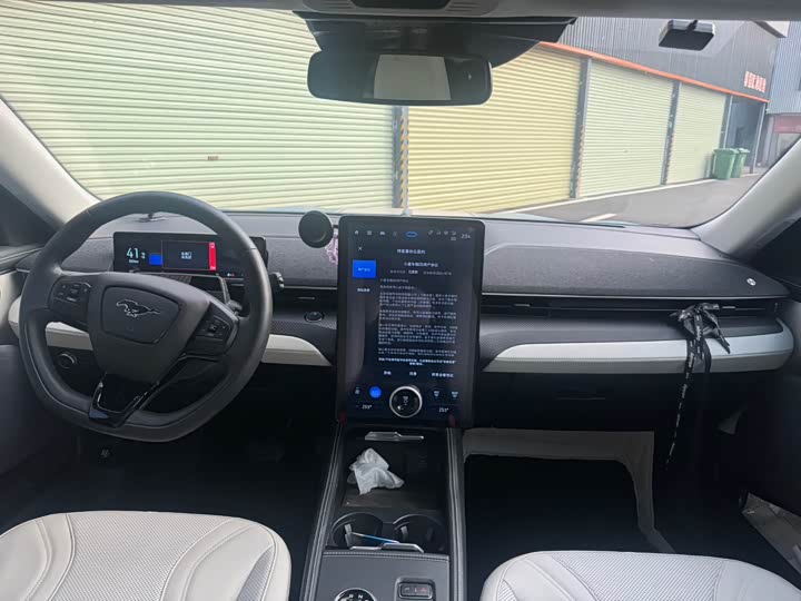 Ford Mustang Mach-E 2021 2021款 追风全驱豪华版(长续航)