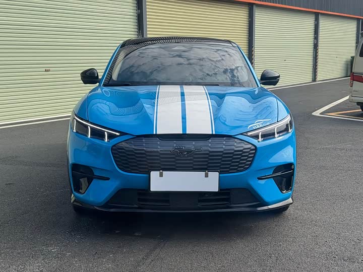 Ford Mustang Mach-E 2021 2021款 追风全驱豪华版(长续航)