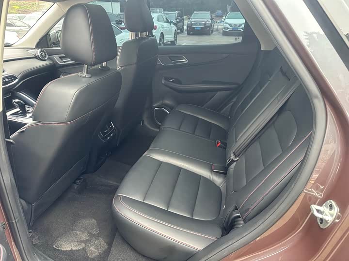 MG Motor Pilot 2021 2021款 300TGI 自动两驱燃动豪华版