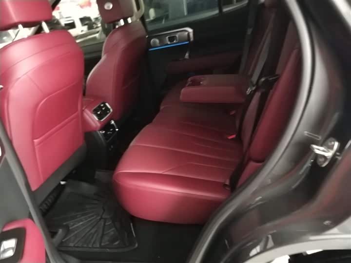 Tank 400 Hybrid 2024 2024款 Hi4-T 越野版