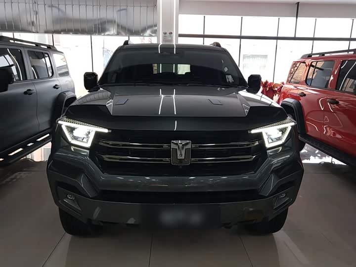 Tank 400 Hybrid 2024 2024款 Hi4-T 越野版