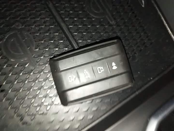 Tank 400 Hybrid 2024 2024款 Hi4-T 越野版