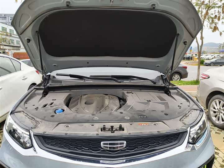 Geely Tugella S 2021 2021款 2.0TD 自动两驱闪电版