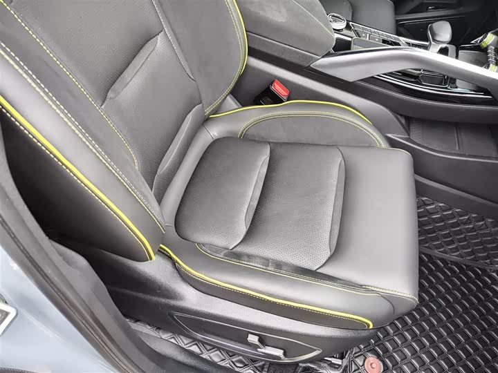 Geely Tugella S 2021 2021款 2.0TD 自动两驱闪电版