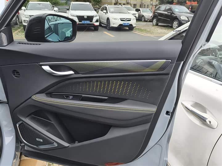 Geely Tugella S 2021 2021款 2.0TD 自动两驱闪电版