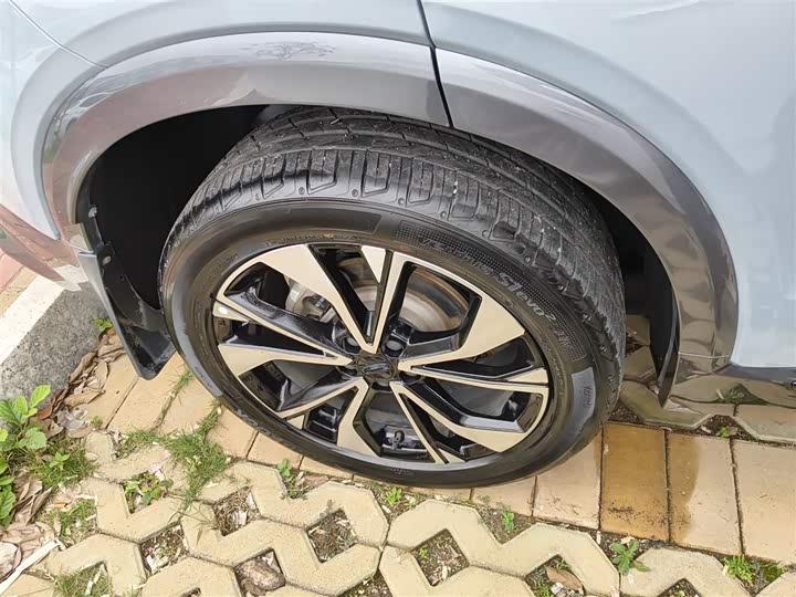 Geely Tugella S 2021 2021款 2.0TD 自动两驱闪电版