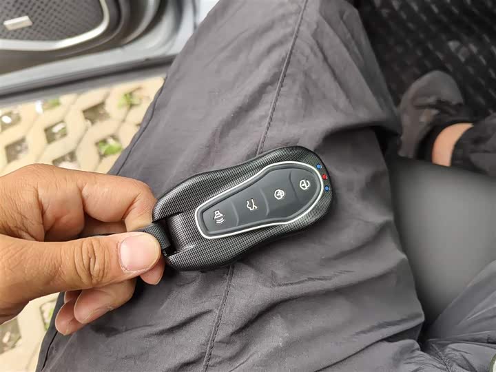 Geely Tugella S 2021 2021款 2.0TD 自动两驱闪电版