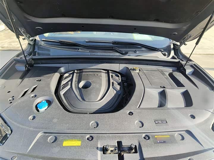 Geely Tugella 2020 2020款 高能版 350T 耀星者