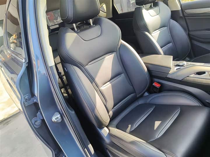 Geely Tugella 2020 2020款 高能版 350T 耀星者