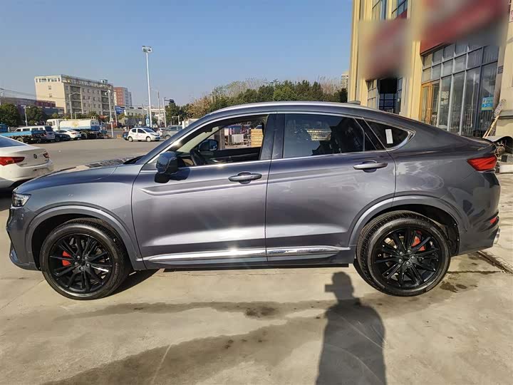 Geely Tugella 2020 2020款 高能版 350T 耀星者