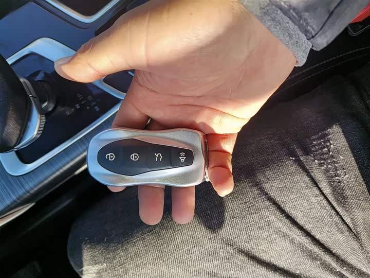 Geely Tugella 2020 2020款 高能版 350T 耀星者