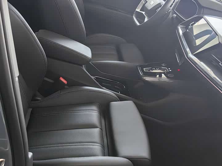 Audi Q4 e-tron 2024 2024款 40 e-tron 创境版