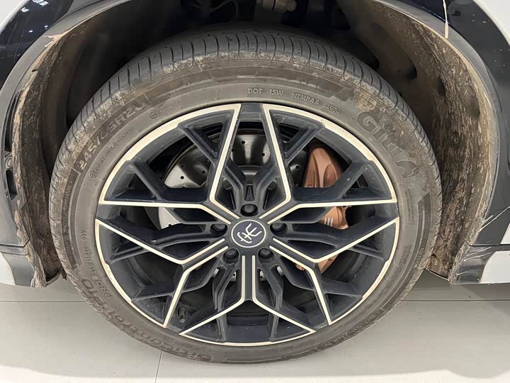 BYD Song L 2025 2025款 智驾版 602km 激光雷达四驱型