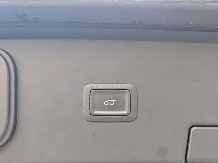 Hongqi HQ9 Hybrid 2024 2024款 2.0T 四驱商务版