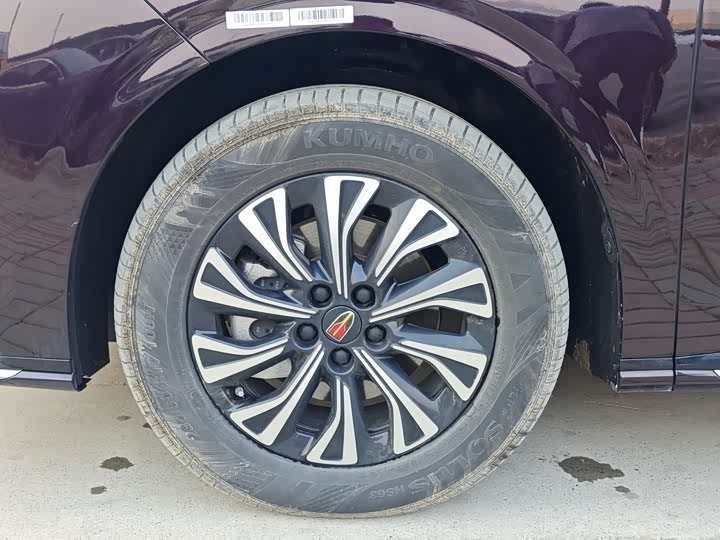 Hongqi HQ9 Hybrid 2024 2024款 2.0T 四驱商务版