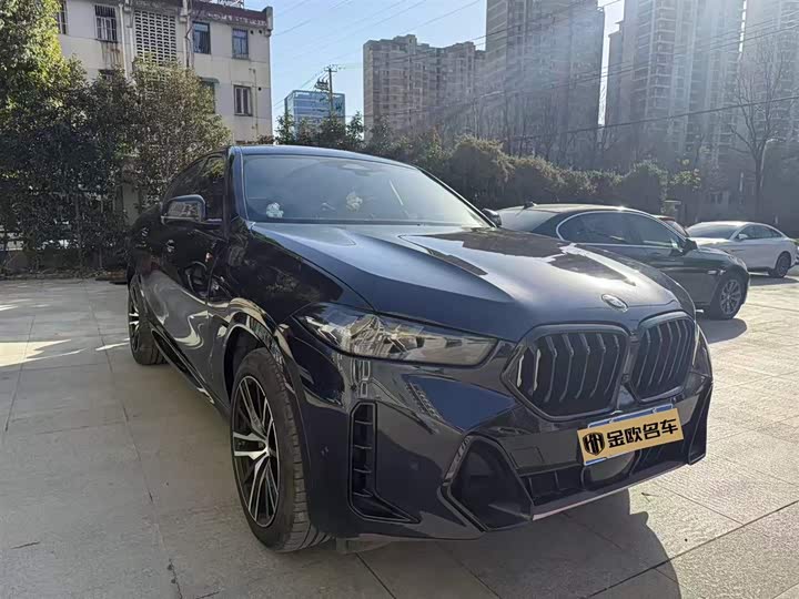 BMW X6 2023 2023款 xDrive30i M运动套装