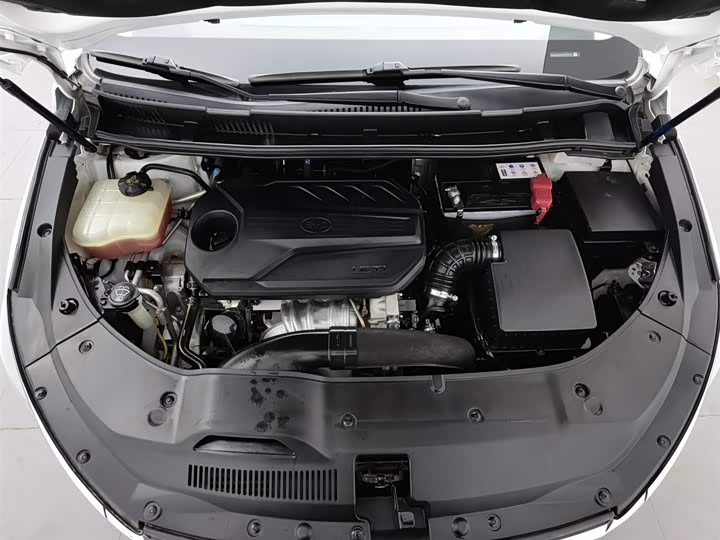 BYD Song Max 2021 2021款 升级版 1.5T 自动豪华型 6座