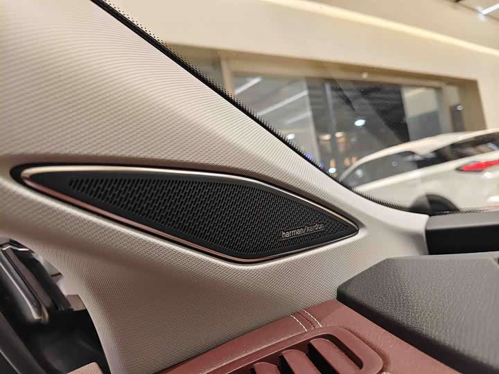 Volkswagen ID.6 X 2021 2021款 Pro 极智长续航版