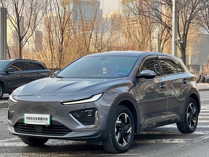 Hozon X 2025 2025款 500 Plus