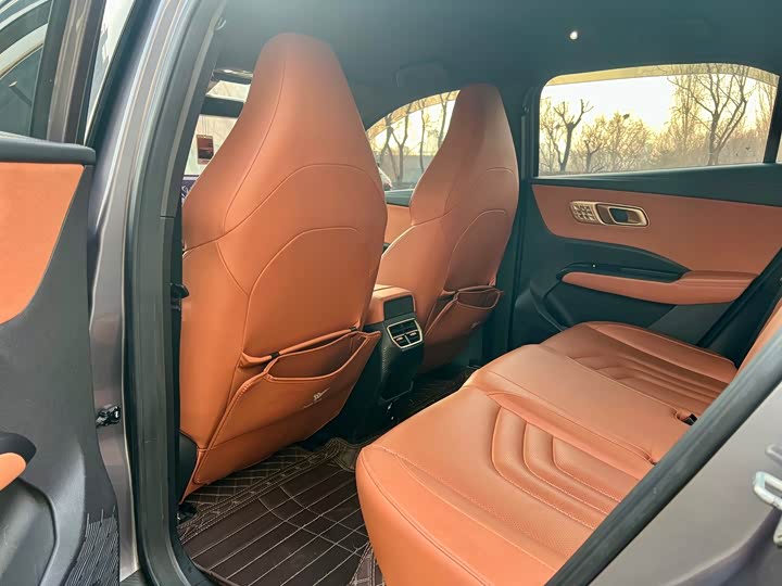 Hozon X 2025 2025款 500 Plus