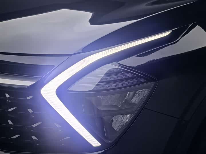 Kia Sportage 2023 2023款 1.5T 两驱尊贵版