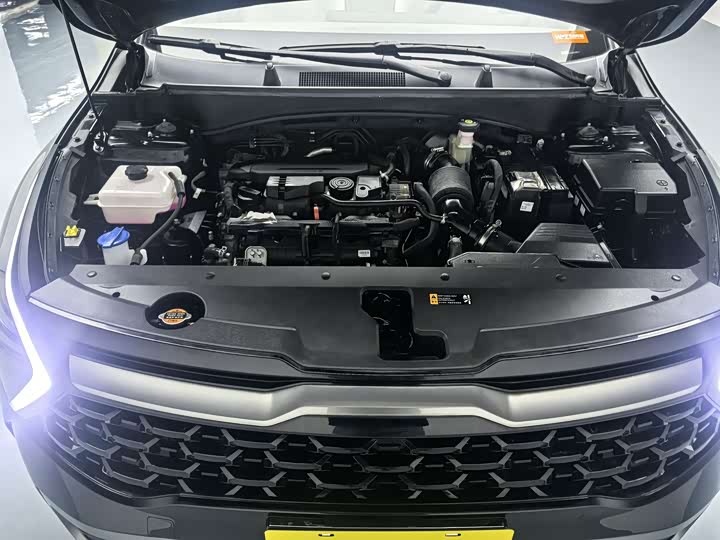 Kia Sportage 2023 2023款 1.5T 两驱尊贵版