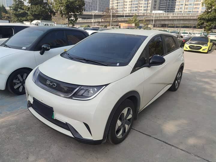 BYD Dolphin 2025 2025款 420km 自由版