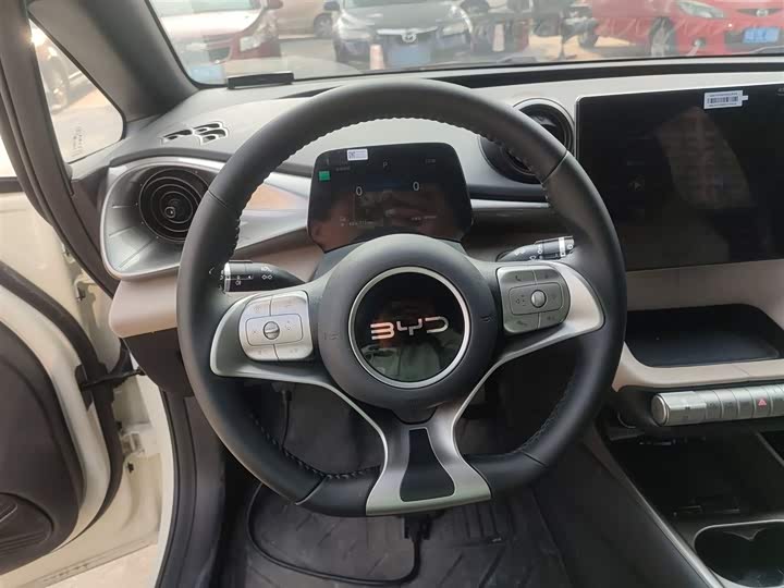 BYD Dolphin 2025 2025款 420km 自由版