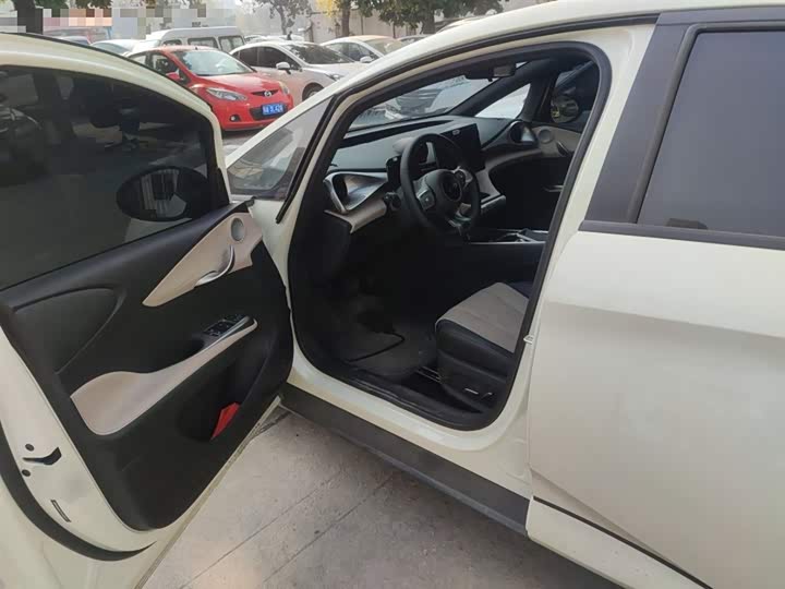 BYD Dolphin 2025 2025款 420km 自由版