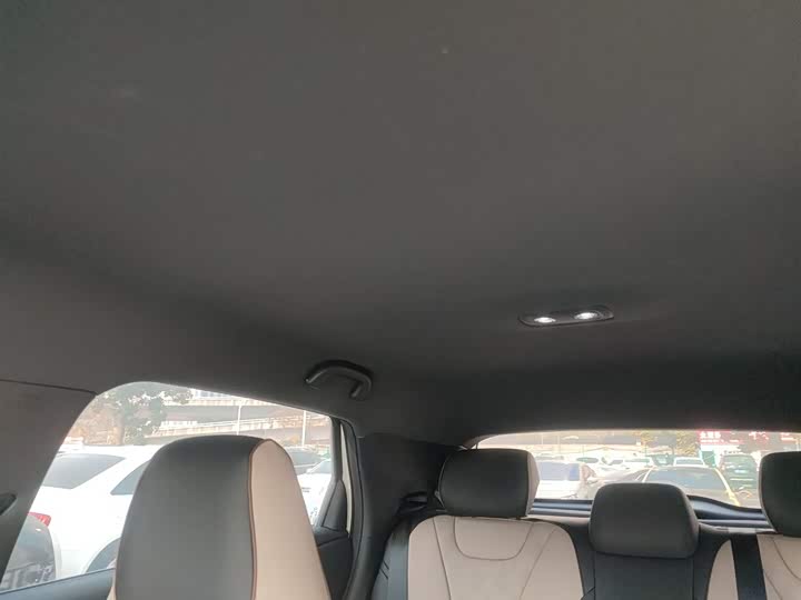 BYD Dolphin 2025 2025款 420km 自由版