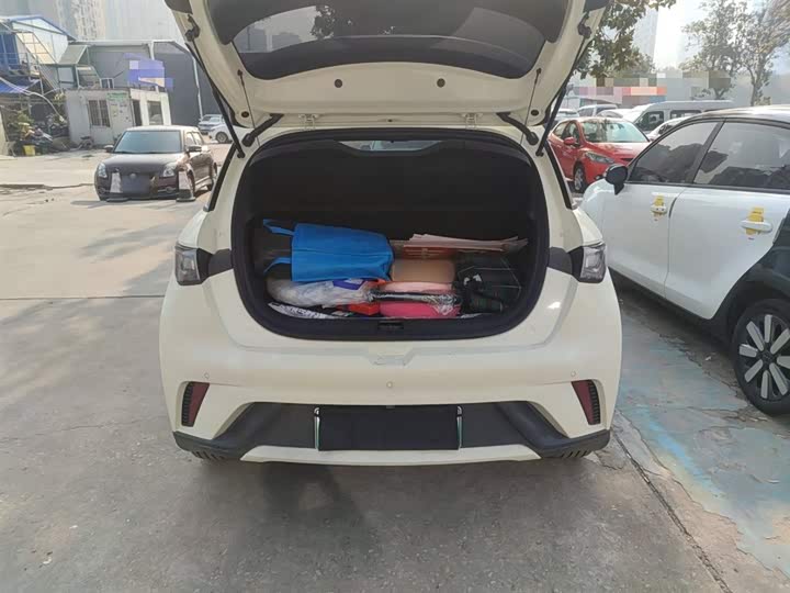 BYD Dolphin 2025 2025款 420km 自由版