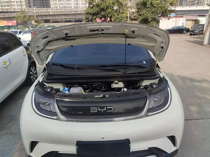 BYD Dolphin 2025 2025款 420km 自由版