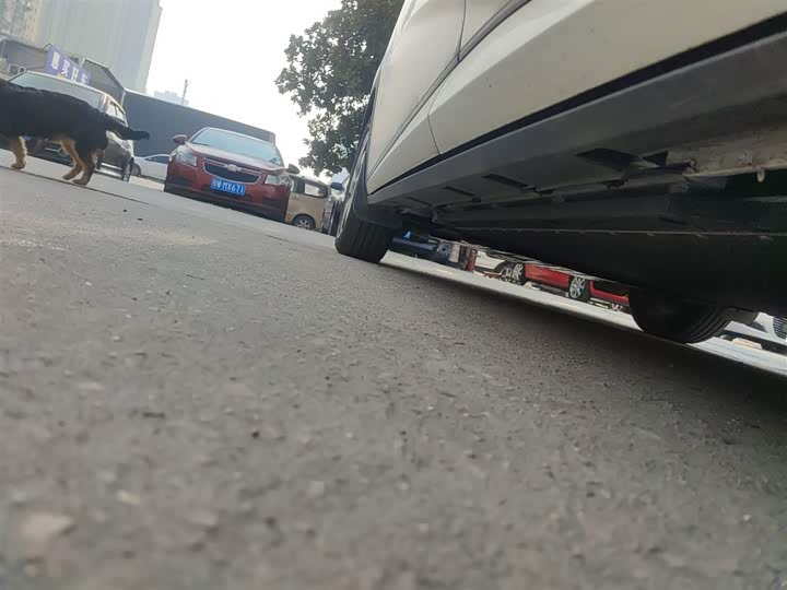 BYD Dolphin 2025 2025款 420km 自由版