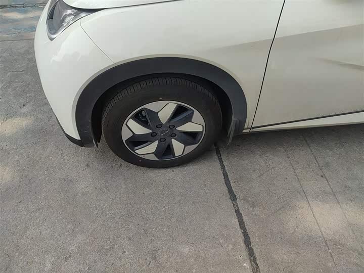 BYD Dolphin 2025 2025款 420km 自由版