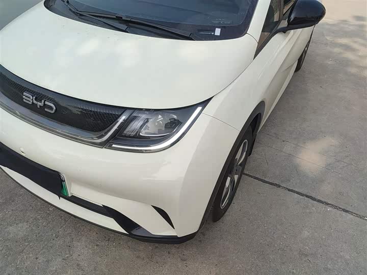BYD Dolphin 2025 2025款 420km 自由版