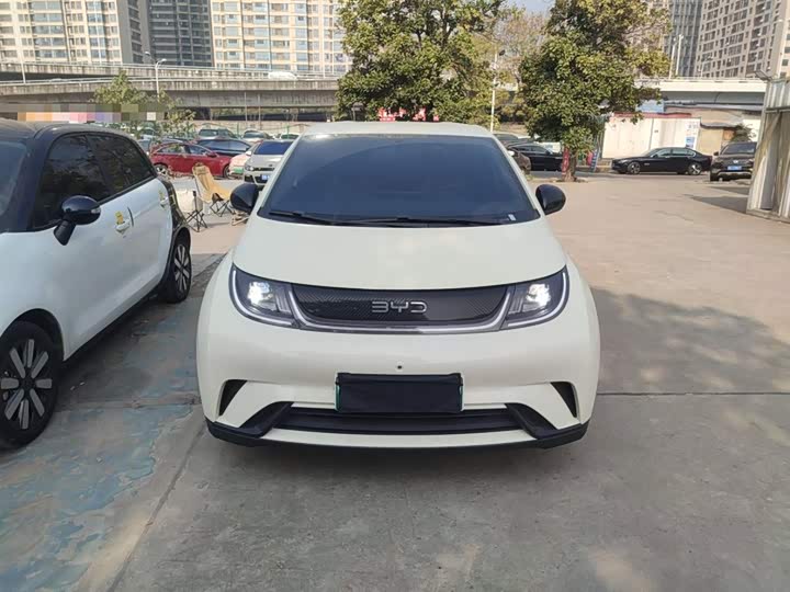BYD Dolphin 2025 2025款 420km 自由版