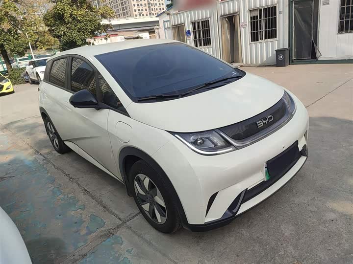 BYD Dolphin 2025 2025款 420km 自由版